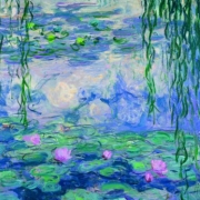 Le ninfee di Monet
