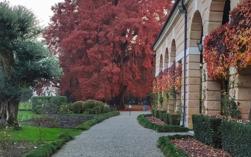 Villa Zileri _ il parco con il foliage