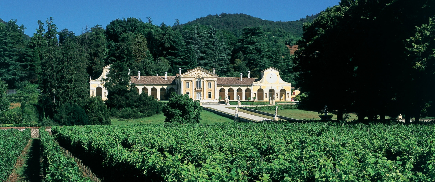 Villa Barbaro a Maser - i vigneti