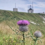 CaminArte Monte Grappa
