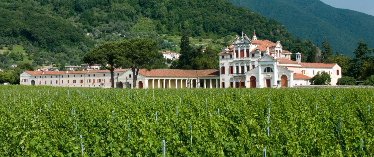 villa Angarano Bianchi Michiel (1)